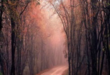 2024年全国路跑赛事规模超700万人2025-03-21.