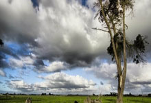 纳达尔璀璨生涯无完美结局 更想被记得是来自马略卡村庄的好人.