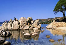 郑钦文展望澳网,官方公布奖金:冠军能拿到1592万元人民币九派新闻.